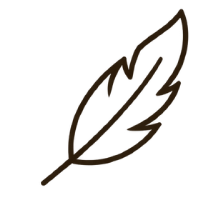 A minimalist brown line art icon of a feather, representing a product category or brand logo on a plain white background.
